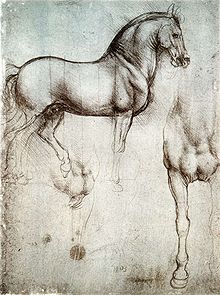 220px-Study_of_horse